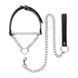 Нашийник з повідцем Bedroom Fantasies: Collar with Chain - Silver SX2207 фото 2