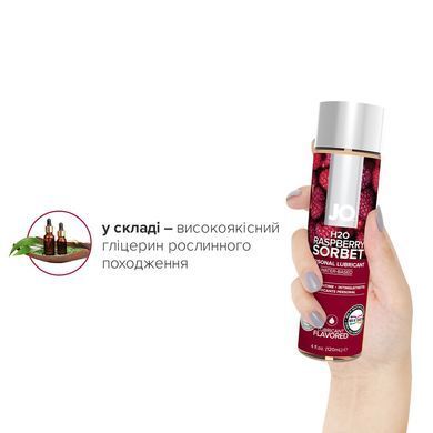 Змазка на водній основі JO H2O &mdash; Raspberry Sorbet (120 мл) без цукру, рослинний гліцерин SO1671 фото