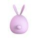 Вакуумний стимулятор з вібрацією KISTOY Miss KK Purple SO3760 фото 3