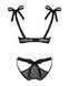 (SALE) Напівпрозорий еротичний комплект Obsessive Obsessivia 2-pcs set black L/XL, бюстгальтер та трусики, SO7298 фото 6