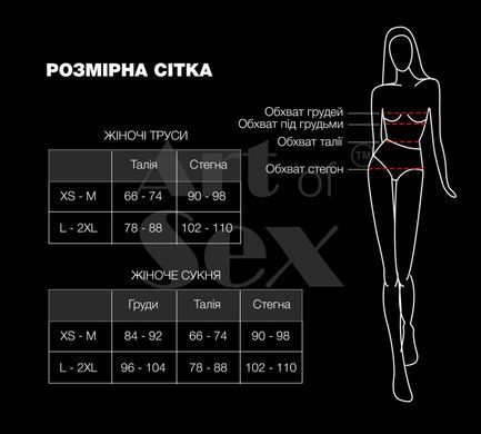 Трусики зі стразовим ланцюгом Art of Sex - Lea, розмір XS-M, Срібло/Чорний SO7454 фото